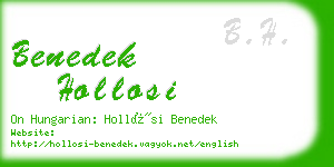 benedek hollosi business card